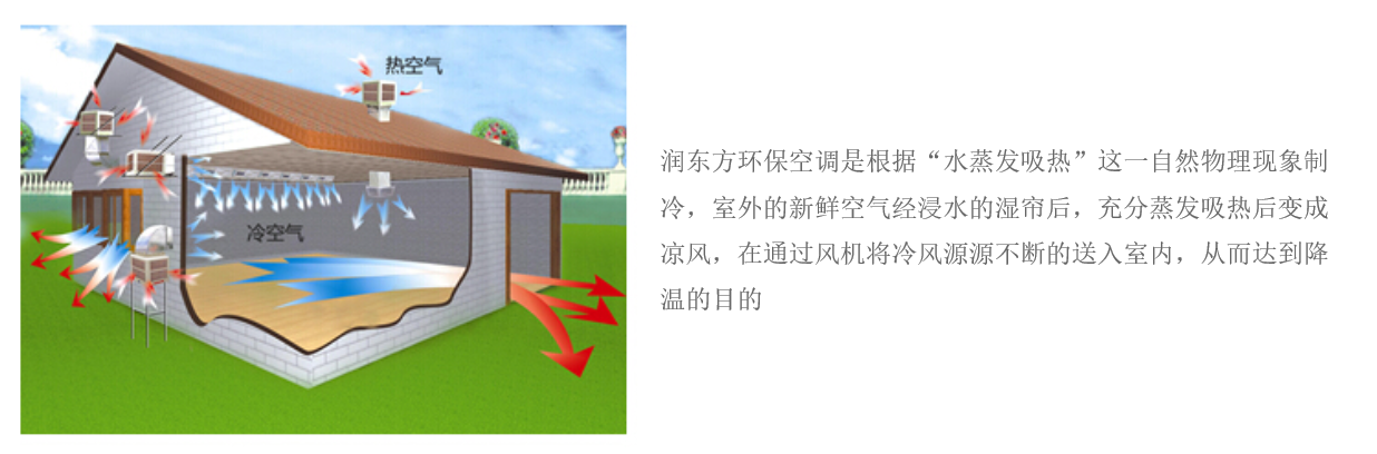 AG真人·国际(中国游)平台官方网站RDF-18A-11/S(图2)