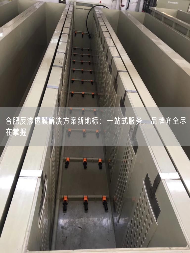合肥反渗透膜解决方案新地标：一站式服务，品牌齐全尽在掌握(图1)