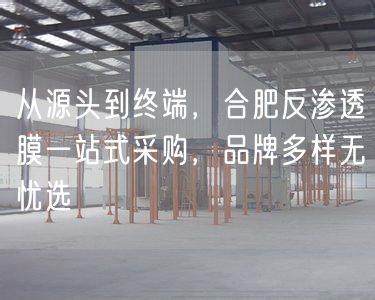 从源头到终端，合肥反渗透膜一站式采购，品牌多样无忧选(图1)