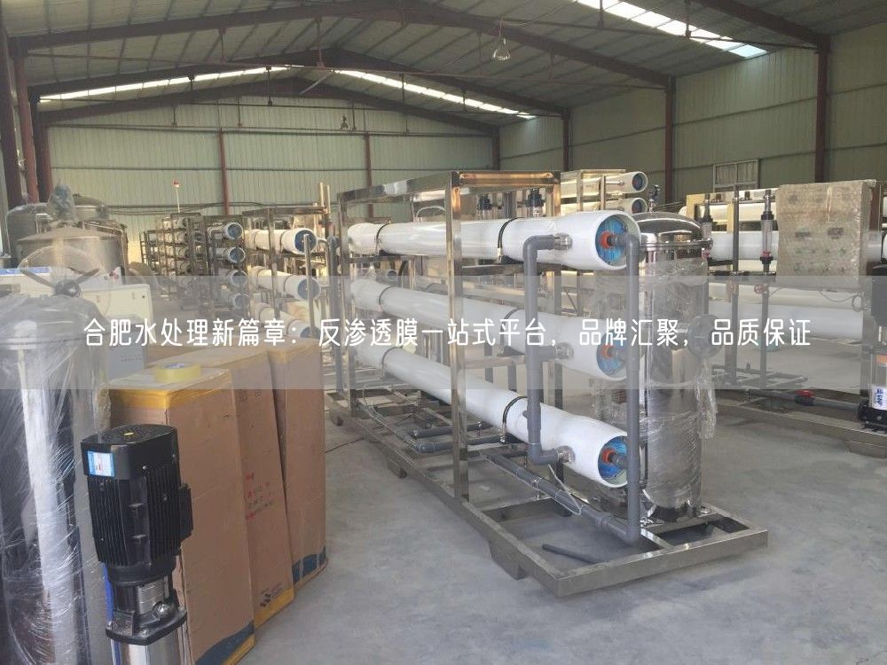 合肥水处理新篇章：反渗透膜一站式平台，品牌汇聚，品质保证(图1)
