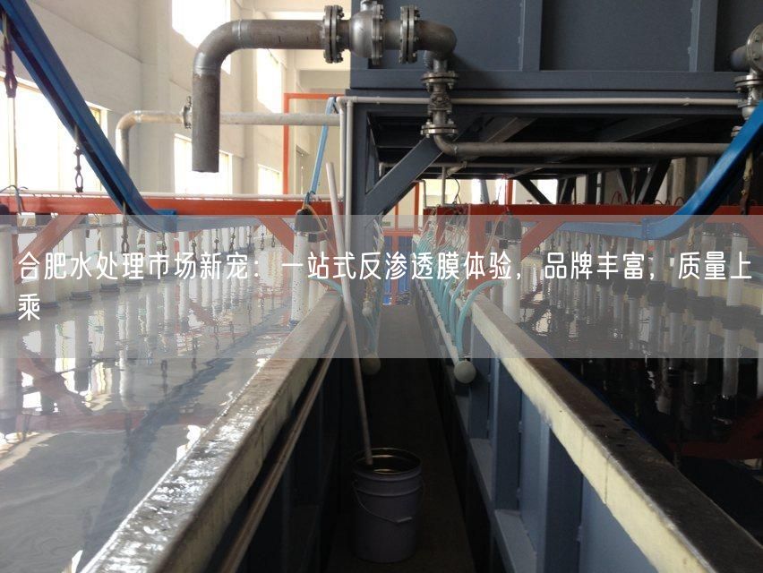 合肥水处理市场新宠：一站式反渗透膜体验，品牌丰富，质量上乘(图1)