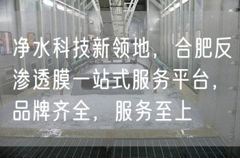 净水科技新领地，合肥反渗透膜一站式服务平台，品牌齐全，服务至上(图1)