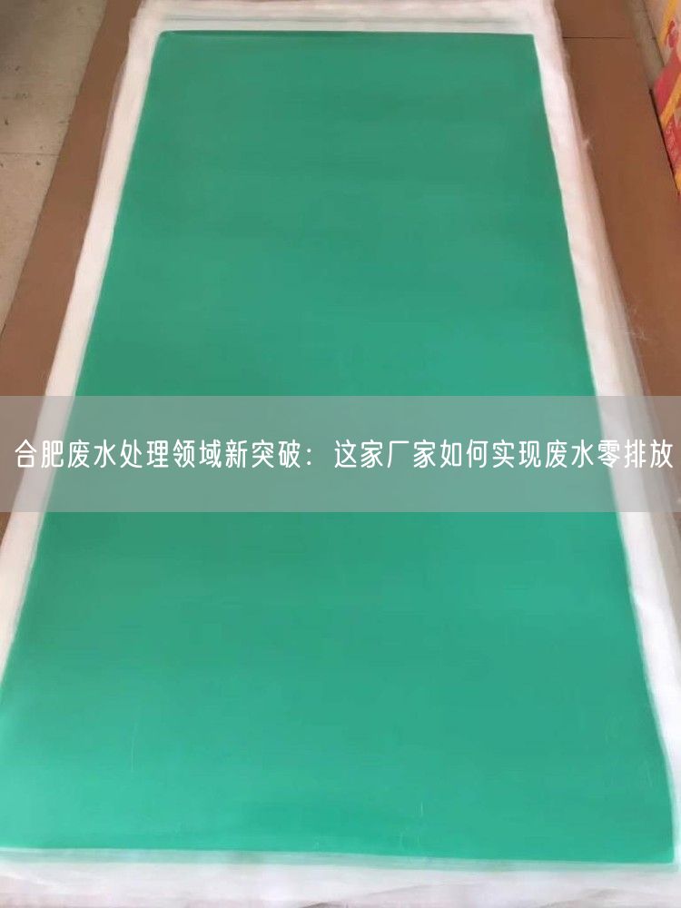 合肥废水处理领域新突破：这家厂家如何实现废水零排放(图1)